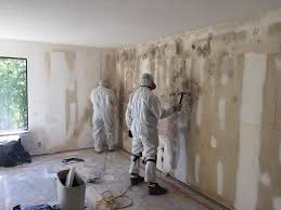 Why You Should Choose Our Mold Remediation Services in Dellwood, MN